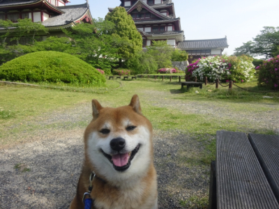 2016.5.20.01.jpg