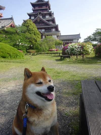 2016.5.20.02.jpg