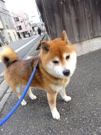 2017.4.3.02.jpg