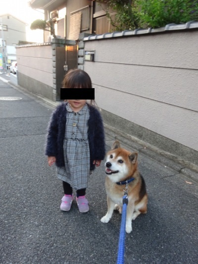 2018.11.21.01.jpg