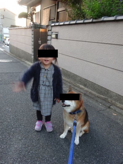 2018.11.21.02.jpg