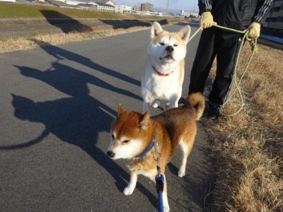 2018.2.23.01.jpg