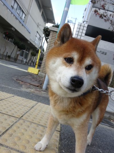 2018.2.8.03.jpg