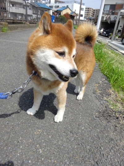 2018.4.28.01.jpg