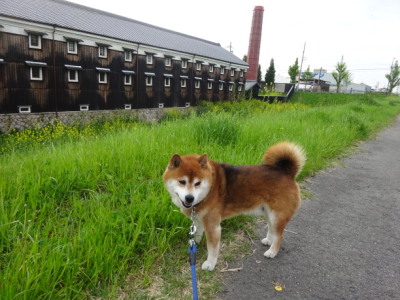 2018.5.6.01.jpg