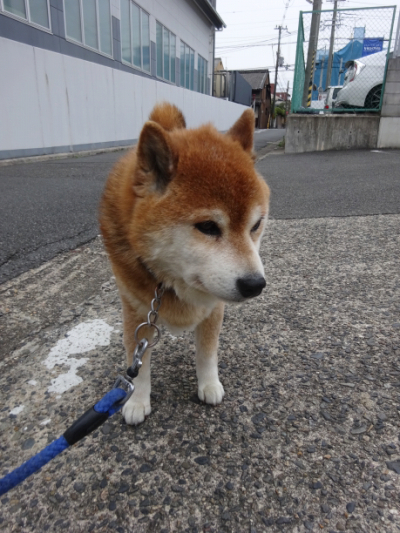 2019.5.1.03.jpg