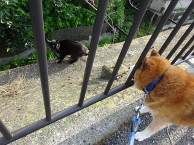 2019.8.14.02.jpg