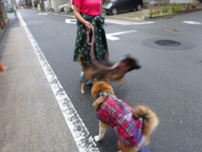2019.9.17.01.jpg