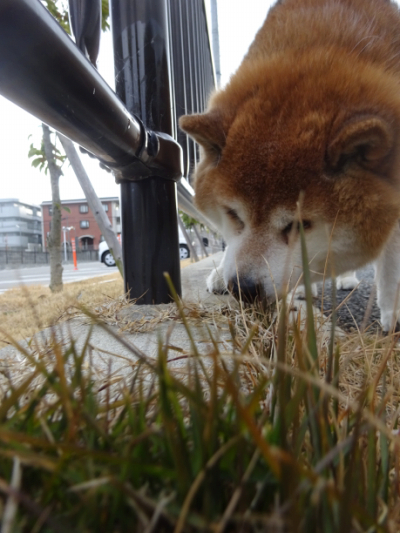 2021.2.23.03.jpg