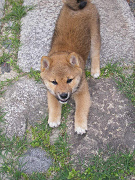 IMGP01910004.jpg