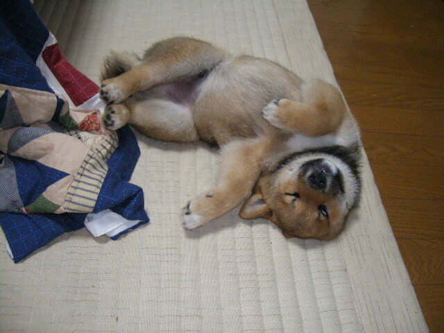 IMGP0407.JPG