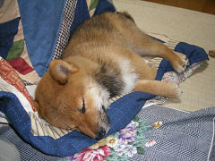 IMGP04810001.jpg