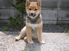 IMGP05390001.jpg