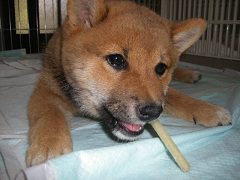 IMGP05470003.jpg