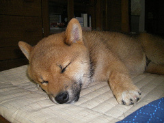 IMGP05610005.jpg