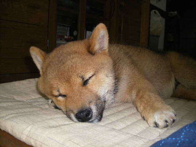 IMGP0562.JPG