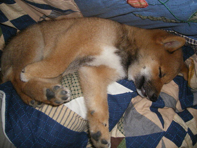 IMGP0564.JPG
