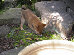 IMGP07100004.jpg