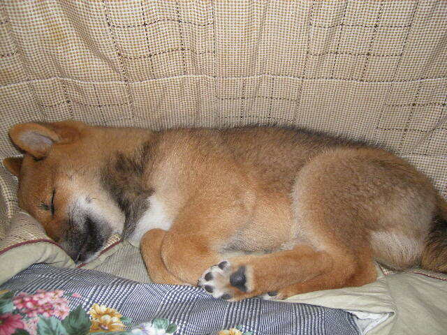 IMGP0955.JPG