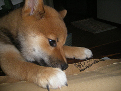 IMGP10570004.jpg