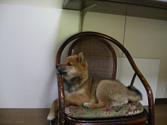 IMGP11480001.jpg