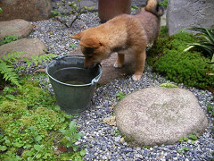 IMGP11800002.jpg