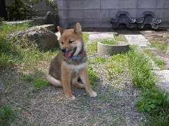 IMGP14660007.jpg