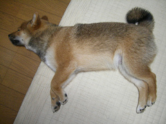 IMGP20820001.jpg