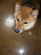 IMGP27270001.jpg