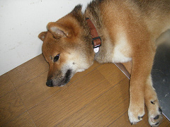 IMGP27290004.jpg