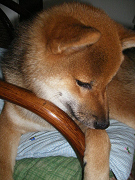IMGP27960001.jpg