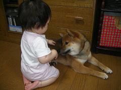 IMGP28050001.jpg
