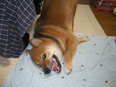 IMGP28070002.jpg