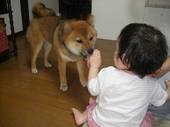 IMGP28380001.jpg