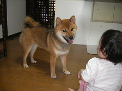 IMGP28390002.jpg