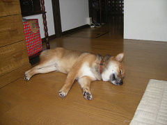 IMGP28470004.jpg