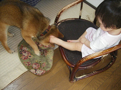 IMGP31020011.jpg