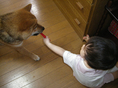 IMGP31070012.jpg