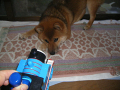 IMGP31350013.jpg