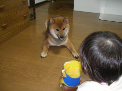 IMGP31510015.jpg