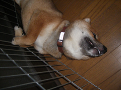 IMGP32400001.jpg