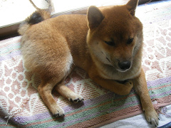 IMGP32540004.jpg