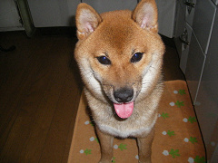 IMGP32710003.jpg