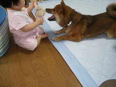 IMGP32770004.jpg
