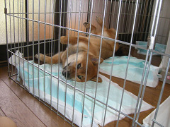 IMGP33000005.jpg