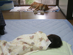 IMGP33160006.jpg