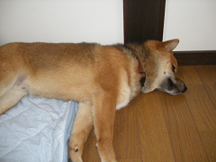 IMGP33260001.jpg