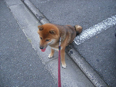 IMGP33600002.jpg