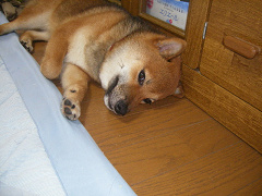 IMGP33810002.jpg