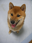 IMGP33900001.jpg